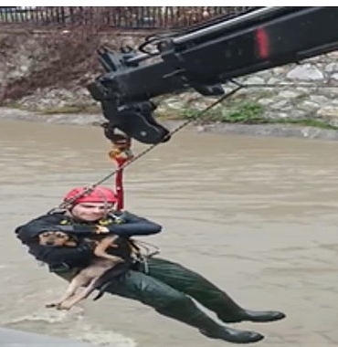 Dereye düşen köpek itfaiye ekipleri tarafından kurtarıldı