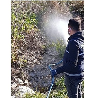 didimde-halk-sihhati-icin-vektorlere-karsi-faal-caba-QR2S5hA6.jpg