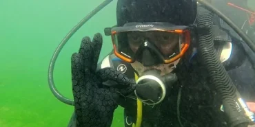 Dipten dirilişe canlı tanıklık