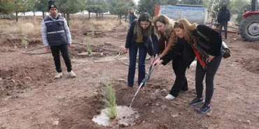 Diyarbakır’da 25 Kasım etkinliği