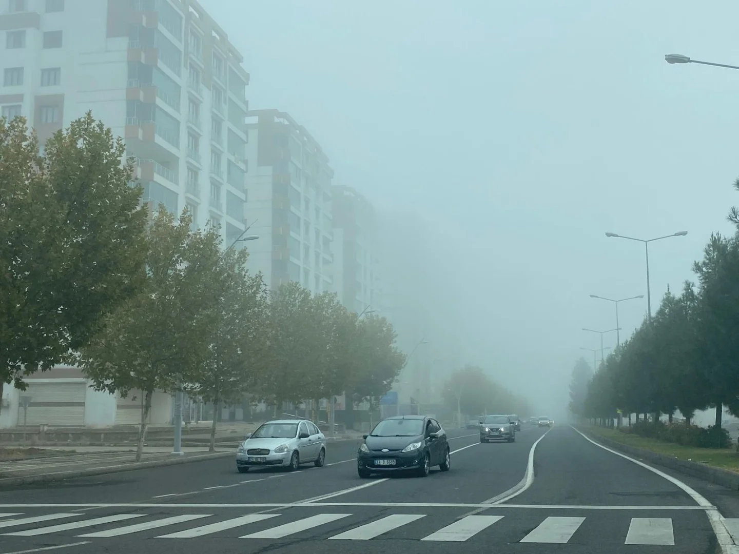 Diyarbakır'da sis etkili oldu