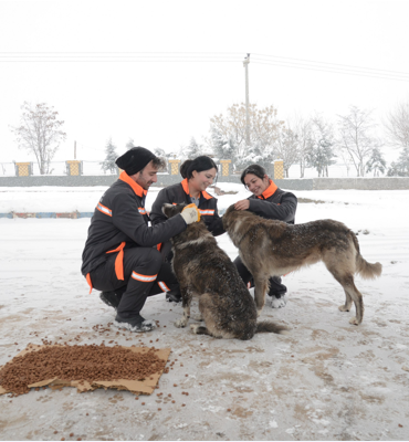 Diyarbakır'da sokak hayvanları için 50 noktaya mama bırakıldı