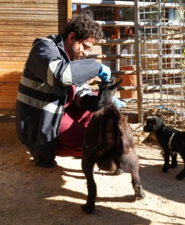 Doğal Yaşam Parkı’nda soğuk alarmı