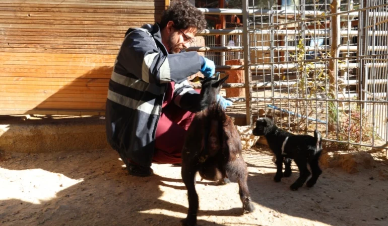 Doğal Yaşam Parkı’nda soğuk alarmı