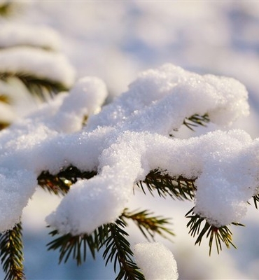 Doğu Karadeniz için kuvvetli yağış uyarısı