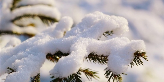 Doğu Karadeniz için kuvvetli yağış uyarısı