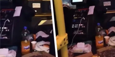 Düzce'de minibüste balık ziyafeti tepki çekti!