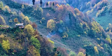 Düzce sonbahar renklerine büründü