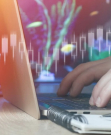 Ekim ayında ticaret ve perakende satış hacmi yükseldi