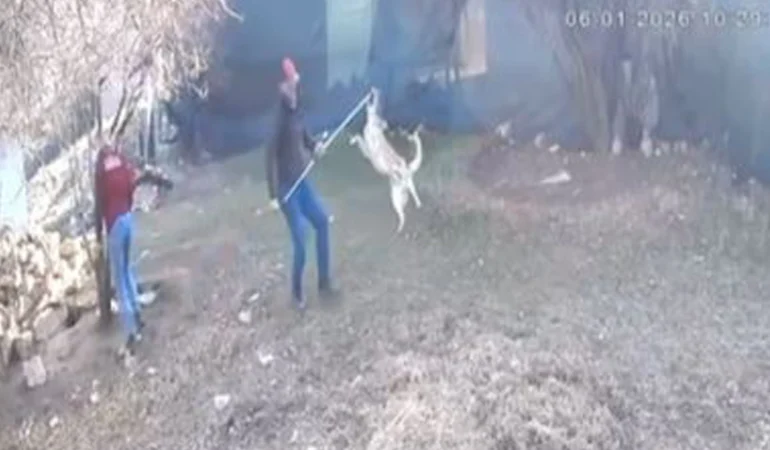 Elmalı’da köpek götürülme görüntüleri tepki çekti