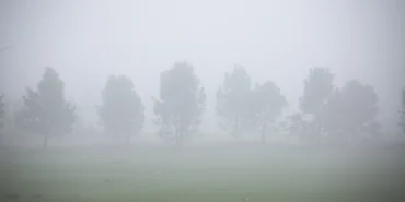 Erbil’de yoğun sis etkili oldu