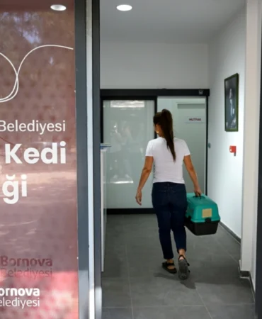 Eros Kedi Kliniği Bornova’da umut oldu