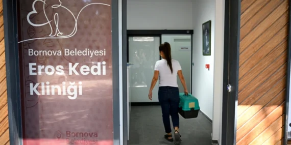 Eros Kedi Kliniği Bornova’da umut oldu