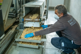 Esenyurt'ta hayvanlar için gıda desteği