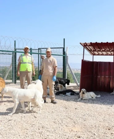 Eskişehir’de doğaya ve can dostlara tam destek