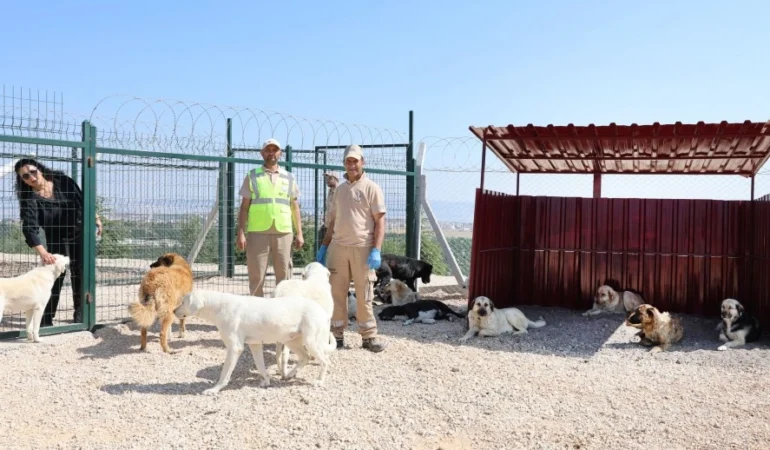 Eskişehir’de doğaya ve can dostlara tam destek