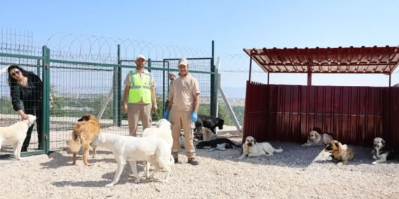 Eskişehir’de doğaya ve can dostlara tam destek