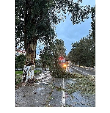 Foça Belediyesi Ekipleri Fırtına ve Yağışa Karşı Teyakkuzda