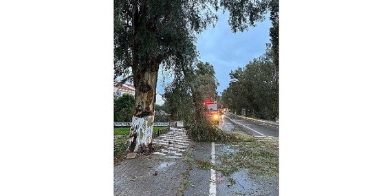 Foça Belediyesi Ekipleri Fırtına ve Yağışa Karşı Teyakkuzda