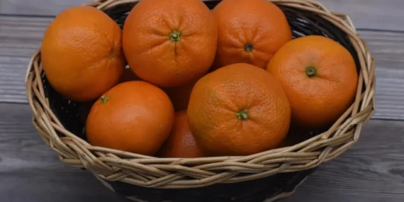 Frigo-Pak’tan satış kontratı