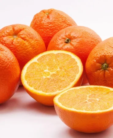 Frigo-Pak'tan yeni iş anlaşması