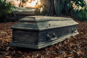 Gençlik iklim örgütünden COP30'a tepki olarak tabutlu protesto