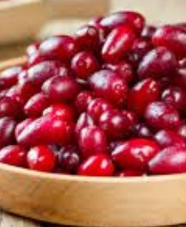 Grip ve soğuk algınlığına karşı kızılcık öne çıkıyor