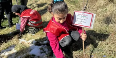 Hakkari'de Türkiye ve Gazze'deki şehitler anısına fidan dikildi