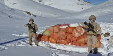 Hakkari ve Ağrı’da uyuşturucu operasyonunda 1 şüpheli gözaltına alındı  - Videolu Haber