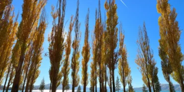 Hazar Gölü'nün çevresi sonbahar renklerine büründü