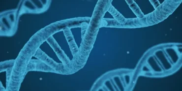 Hitler'in DNA analizi: Otizm, şizofreni ve bipolar bozukluğa yatkındı