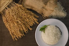 İpsala Pirinci'ne AB tescili... Trakya’nın ilk ve tek AB coğrafi işaretli ürünü