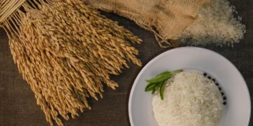 İpsala Pirinci'ne AB tescili... Trakya’nın ilk ve tek AB coğrafi işaretli ürünü