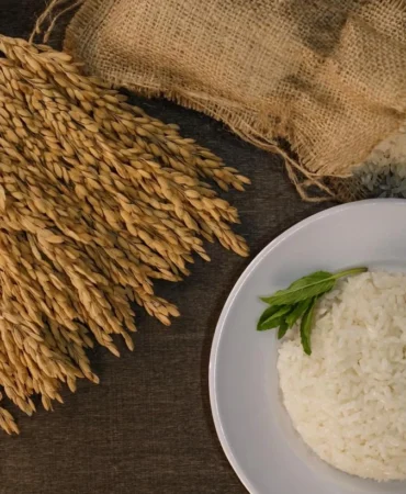 İpsala Pirinci'ne AB tescili... Trakya’nın ilk ve tek AB coğrafi işaretli ürünü