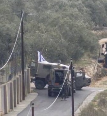 İsrail güçleri Ramallah'ın kuzeyinde zeytin ağaçlarını kökünden söktü