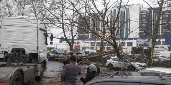 İstanbul’da fırtına: Ağaç devrildi, sahil yolları kapandı!