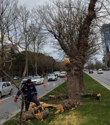 İstanbul’da lodos etkili oluyor