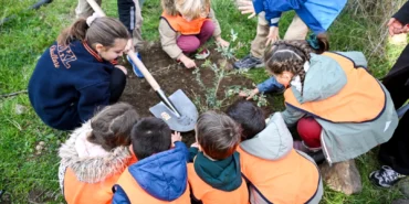 İzmir Bornova'da 200 zeytin fidanı toprakla buluştu