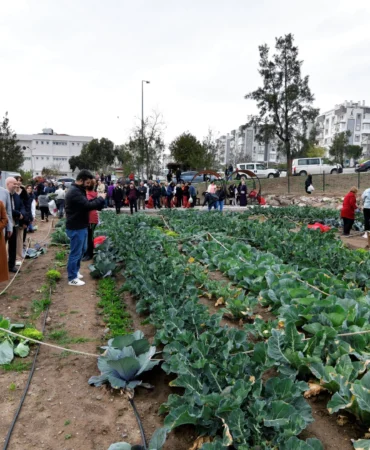 İzmir Bornova'da kent bostanlarında hasat coşkusu