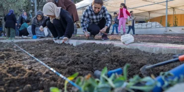 İzmir bostanlarında kış dikimi başladı