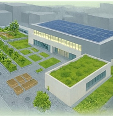 İzmir çatılarda yeşil devrimi başlatıyor