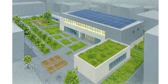 İzmir çatılarda yeşil devrimi başlatıyor