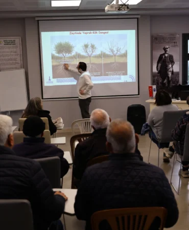 İzmir Efes Selçuk’ta üreticilere zeytin budama eğitimi