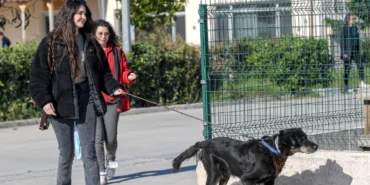 İzmir Menemen’deki yangından kurtarılan 17 hayvana Büyükşehir sahip çıktı