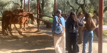 İzmir Narlıdere'de gönüllülere teşekkür