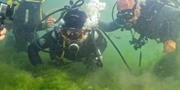 İzmit Körfezi'nde umut veren dalış... Başkan Büyükakın ve uzmanlar canlanan ekosisteme daldı
