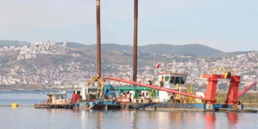 İzmit Körfezi yeniden nefes aldı... Temizlenen körfezde artık yunuslar dans ediyor
