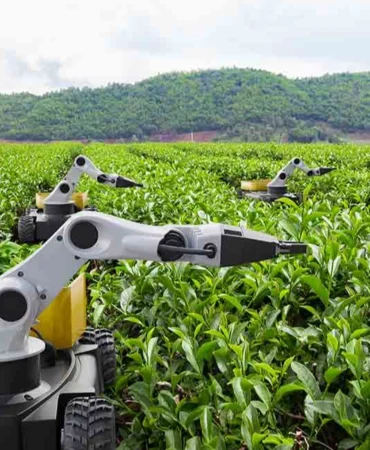 Kamu Teknoloji Platformu 2026'yı 'Kamusal Zekâ Yılı' ilan etti... Kamuda 'metal yaka' dönemi başlıyor