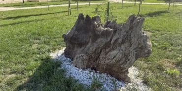 Karabağ'da tarihin sessiz tanığı İmaret Kompleksi yeniden hayat buldu