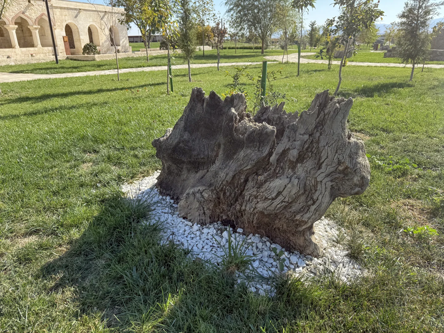 Karabağ'da tarihin sessiz tanığı İmaret Kompleksi yeniden hayat buldu